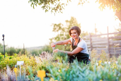 Professional hedge trimming service in Blackheath