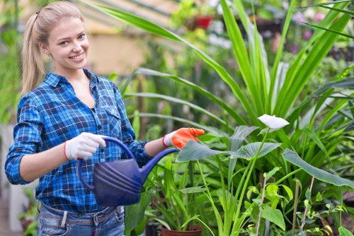 Professional tree lopping service in Blackheath