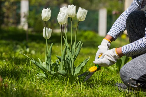 Professionals performing garden clearance in Blackheath