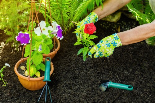 Insurance documents and policy certificates for gardening services