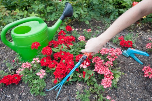 Expert gardeners from Gardener Blackheath at work