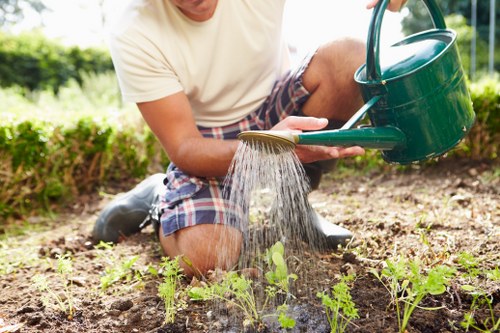 Close-up of plant health assessment during garden inspection