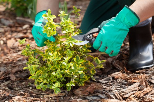 Community volunteers working with a gardener to compost green waste