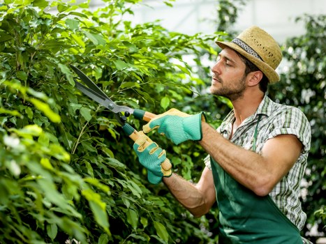 Eco-friendly lawn mowing practices in Blackheath
