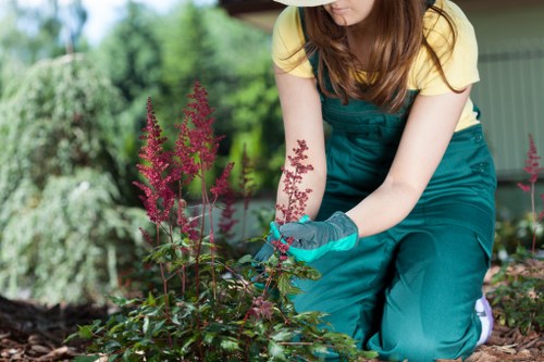 Expert landscaper trimming hedges in Blackheath