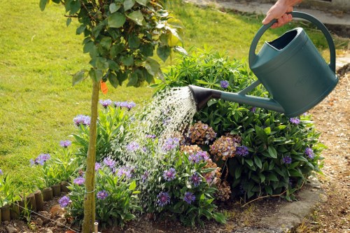 Blackheath lawn care professionals at work