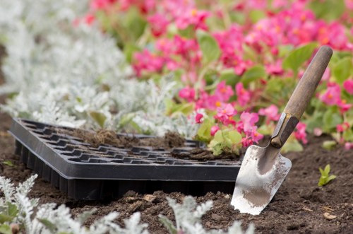 Lawn mowing service maintaining greenery in Blackheath
