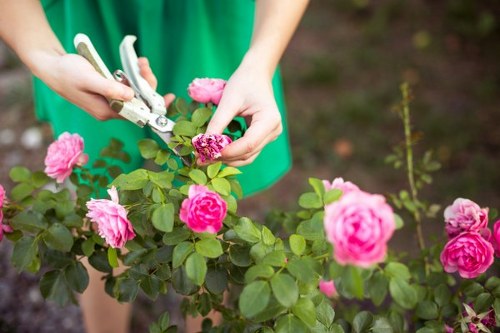 Sustainable landscaping practices in Blackheath