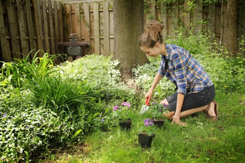 Seasonal lawn care activities in Blackheath