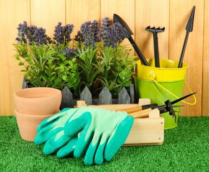 Sustainable garden practices with water-efficient systems in Blackheath