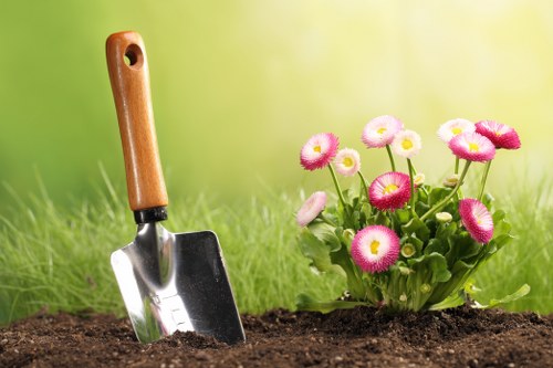 Seasonal garden care activities in Blackheath