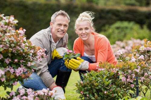 Gardener Blackheath using advanced gardening tools