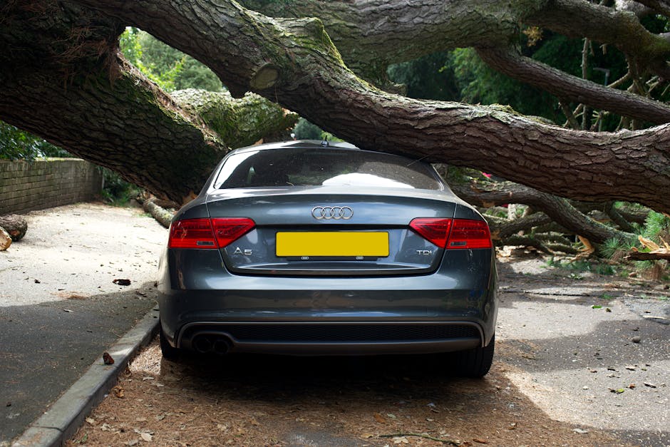 A grey Audi A5 car is parked on a driveway adjacent to a garden area, with a large fallen tree causing visible damage. The tree's thick, textured branches and trunk rest precariously over the car, wit