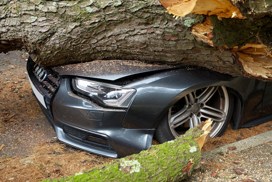A grey Audi A5 car is parked on a driveway adjacent to a garden area, with a large fallen tree causing visible damage. The tree's thick, textured branches and trunk rest precariously over the car, wit