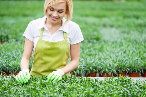Expert landscaping by Gardener Blackheath