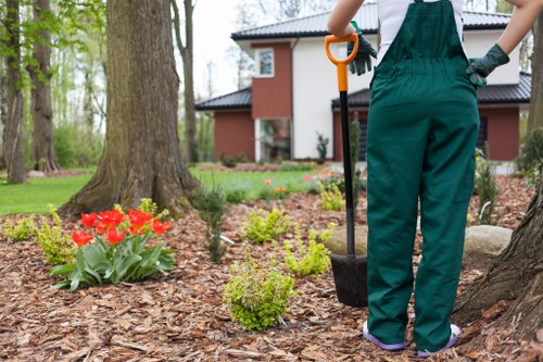 Professional gardener from Blackheath at work
